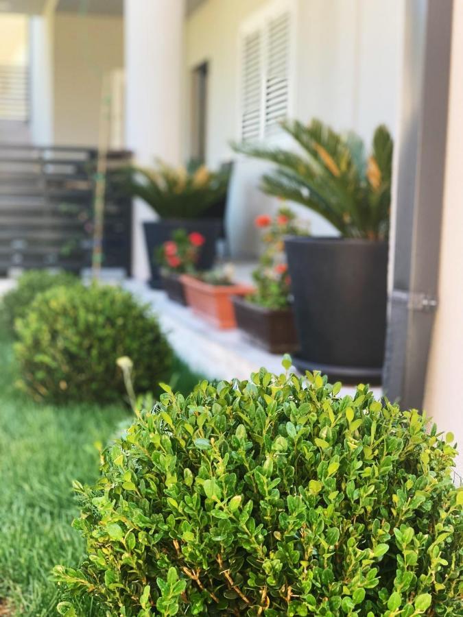 Villa Franko Baška Voda エクステリア 写真